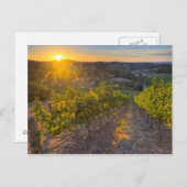 Südaustralien, Adelaide Hills, Summertown Postkarte (Vorne/Hinten)