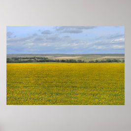 Süddakota Sonnenblumenfarm, painterly Poster