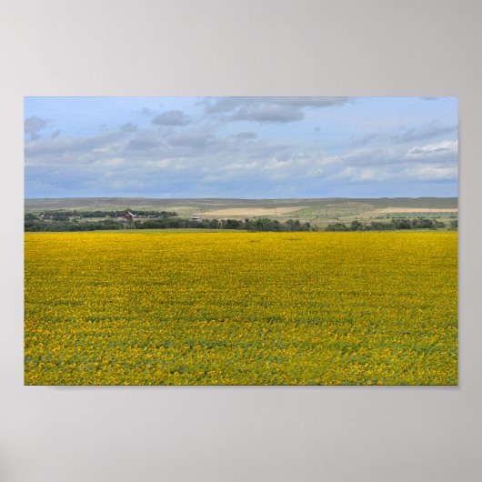 Süddakota Sonnenblumenfarm, painterly Poster (Vorne)