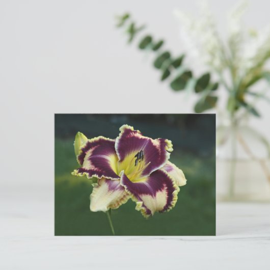 Süddazzle Postkarte (Stehend Vorderseite)