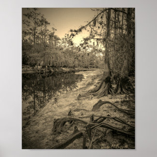 "Südflorida-Bach"  Poster