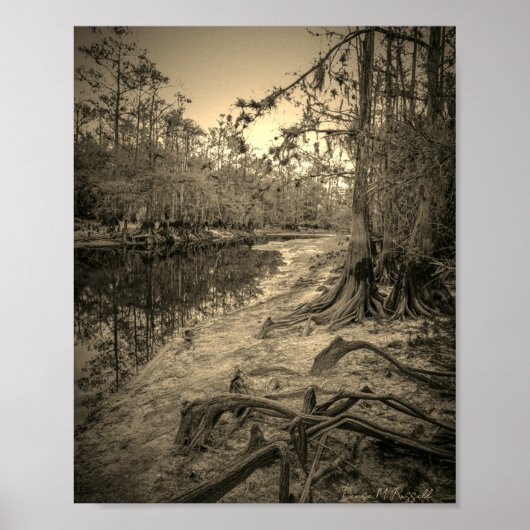 "Südflorida-Bach" Poster (Vorne)