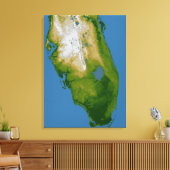 Südflorida Leinwanddruck (Insitu (Wohnzimmer))