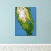 Südflorida Leinwanddruck (Insitu (Holzboden))