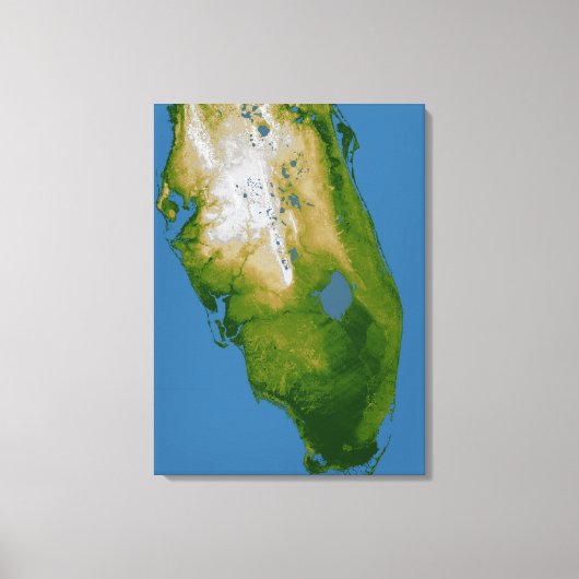 Südflorida Leinwanddruck (Vorderseite)