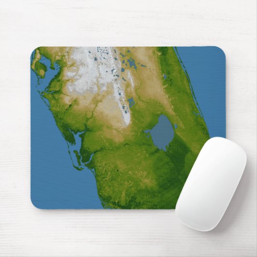Südflorida Mousepad (Mit Mouse)