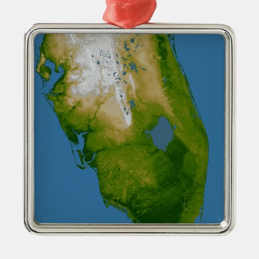Südflorida Ornament Aus Metall (Vorne)