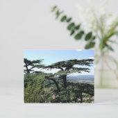 Südfrankreich Postkarte (Stehend Vorderseite)