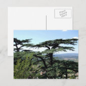 Südfrankreich Postkarte (Vorne/Hinten)