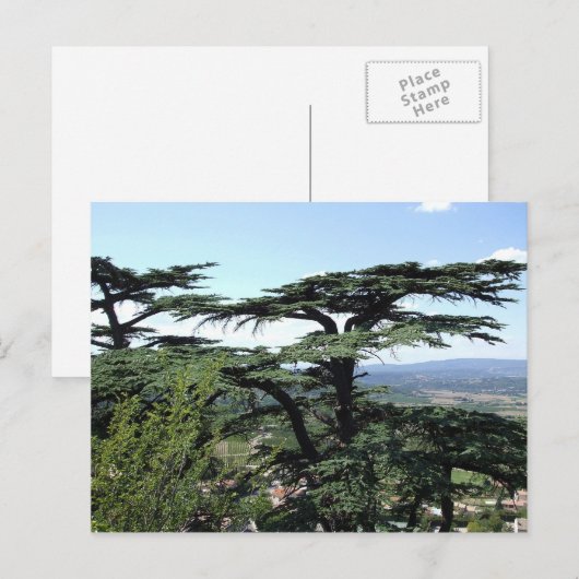 Südfrankreich Postkarte (Vorne/Hinten)