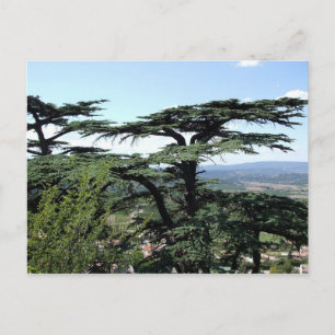 Südfrankreich Postkarte