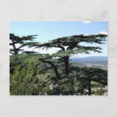 Südfrankreich Postkarte (Vorderseite)