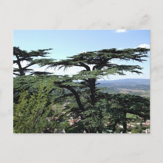 Südfrankreich Postkarte (Vorderseite)