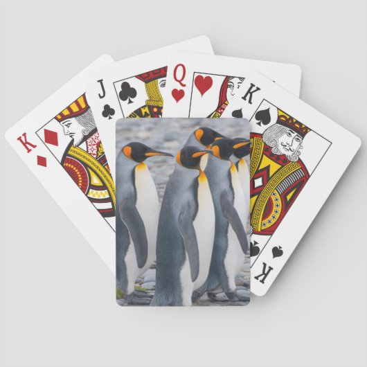 Südgeorgia. König-Pinguine Spielkarten (Rückseite)