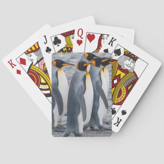 Südgeorgia. König-Pinguine Spielkarten (Rückseite)