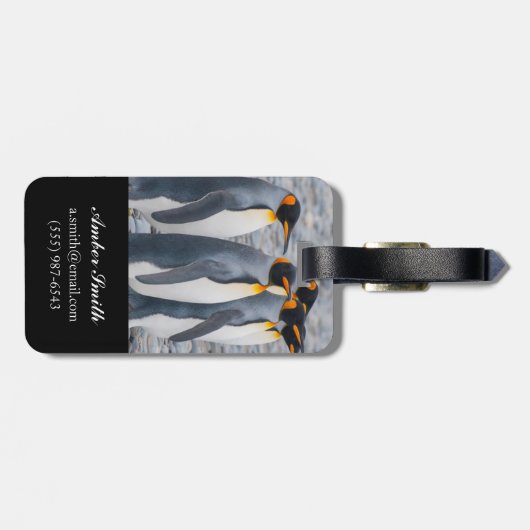 Südgeorgien. Königspinguine Gepäckanhänger (Rückseite horizontal)