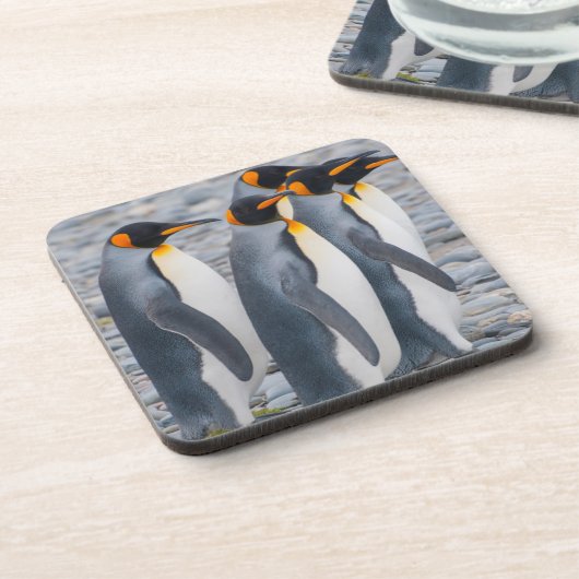 Südgeorgien. Königspinguine Getränkeuntersetzer (Linke Seite)