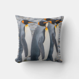 Südgeorgien. Königspinguine Kissen