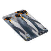 Südgeorgien. Königspinguine Magnet (Rechte Seite)