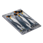 Südgeorgien. Königspinguine Notizblock (Rechte Seite)