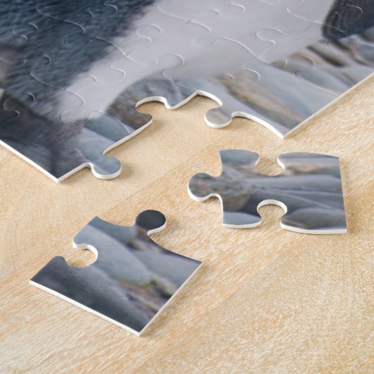 Südgeorgien. Königspinguine Puzzle (Seite)