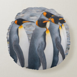 Südgeorgien. Königspinguine Rundes Kissen