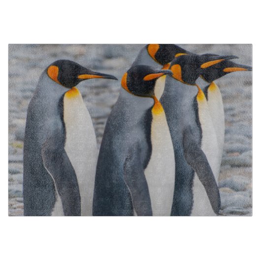 Südgeorgien. Königspinguine Schneidebrett (Vorderseite)