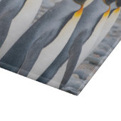 Südgeorgien. Königspinguine Schneidebrett (Ecke)