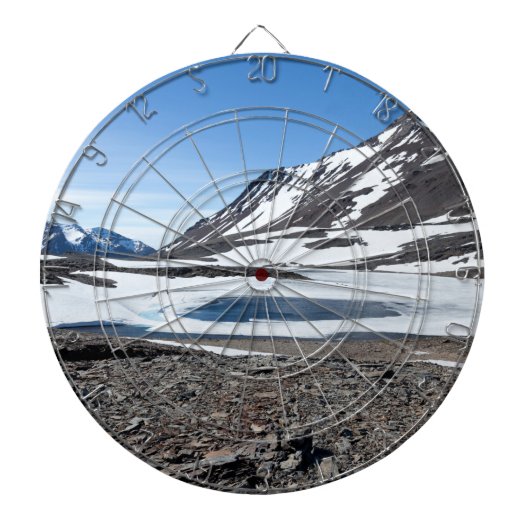 Südgeorgische Landschaft Dartscheibe (vorne)