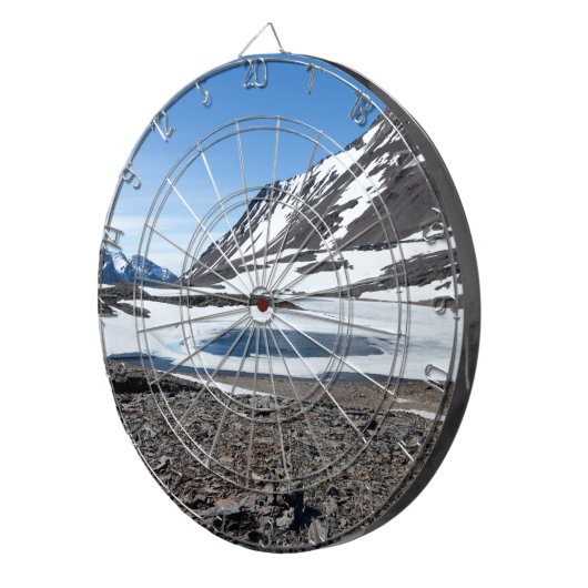 Südgeorgische Landschaft Dartscheibe (Vorderseite rechts)