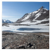 Südgeorgische Landschaft Fliese (Vorderseite)