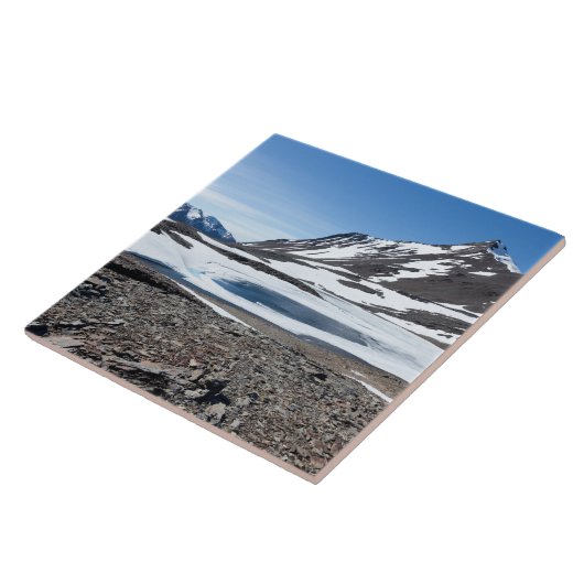 Südgeorgische Landschaft Fliese (Seite)