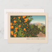 Südkalifornien Orange Grove Vintag Linen Postkarte (Vorne/Hinten)