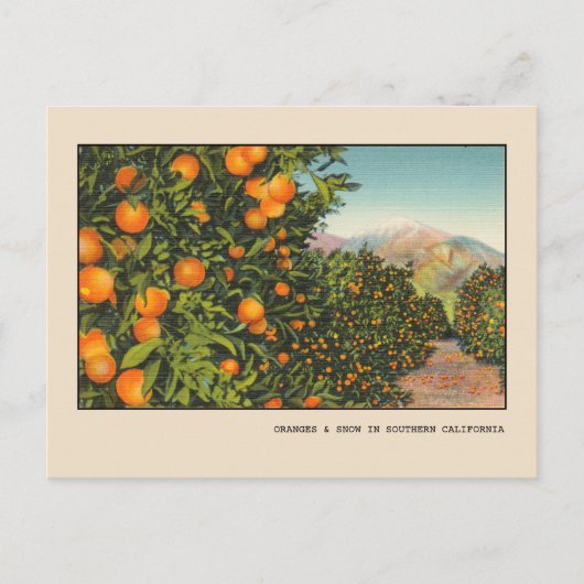 Südkalifornien Orange Grove Vintag Linen Postkarte (Vorderseite)