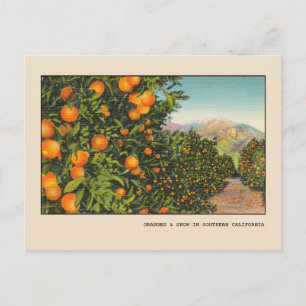 Südkalifornien Orangenhain Vintage Leinen Postkarte