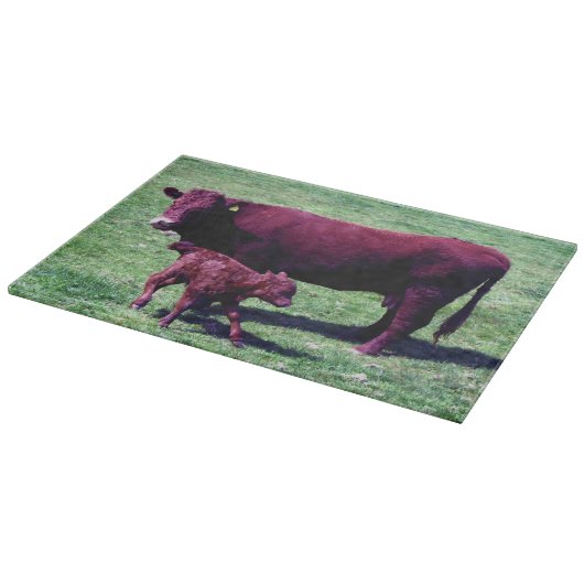 Südkarminrote Kuh und Kalb Devons Schneidebrett (Ecke)