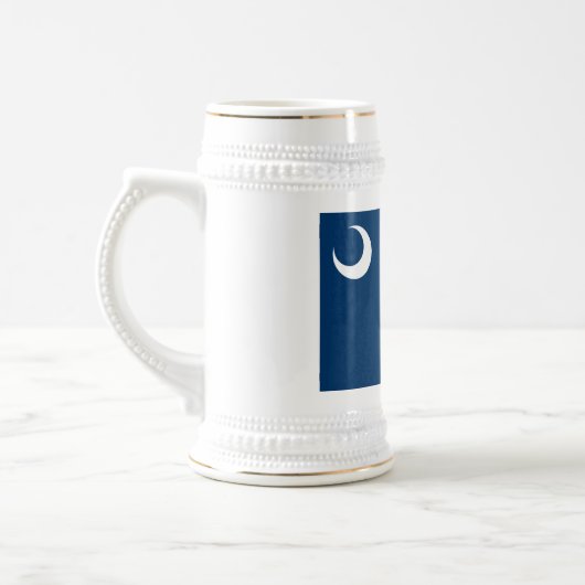 SÜDKAROLINA FLAG BIERGLAS (Links)