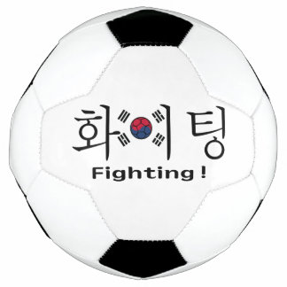 Südkorea kämpft Hangul und Flagge Unterstützer Fußball