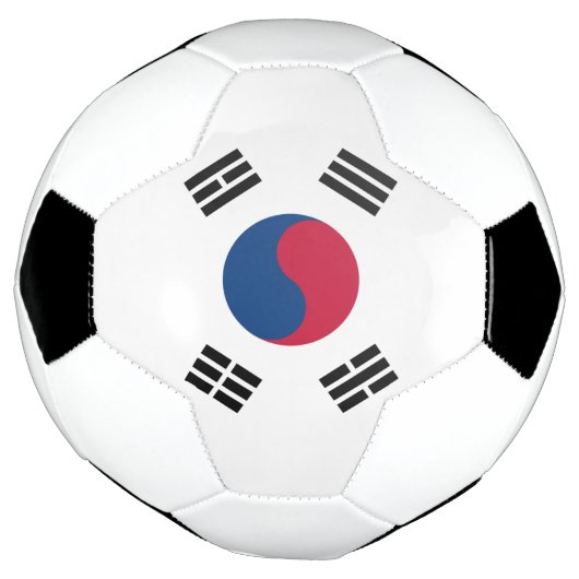 Südkoreanische Flagge Fußball (Gedreht)