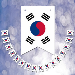 Südkoreanische Flagge & Party Südkoreanische Banne
