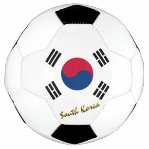 Südkoreanische Flagge / Sport Fußball