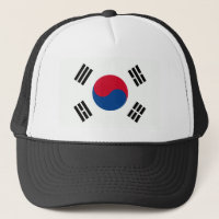 Südkoreanische Flagge