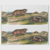 SüdkrautRat, Illustration von Shrew Mole Geschenkpapier (Flach)