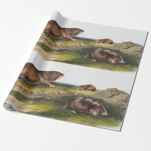 SüdkrautRat, Illustration von Shrew Mole Geschenkpapier (Ungerollt)