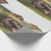 SüdkrautRat, Illustration von Shrew Mole Geschenkpapier (Ecke)