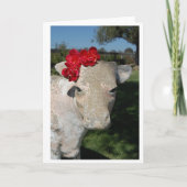 Südkühe Karte (Vorderseite)