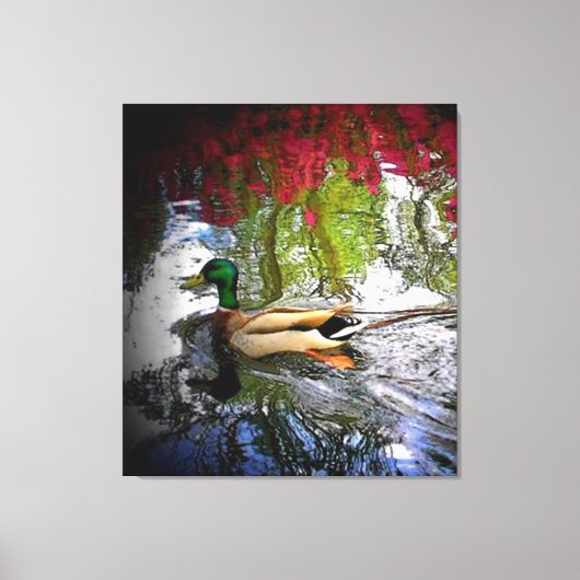 Südküken Leinwanddruck (Vorderseite)