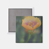 Südlich von Devine Texas entlang Interstate 35 Magnet (Vorderseite/Rückseite)