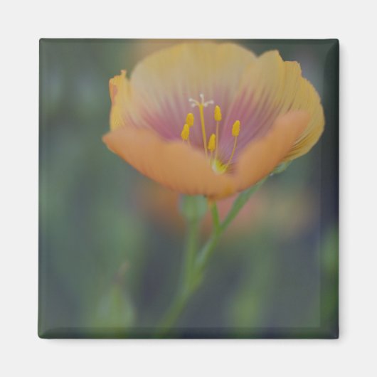 Südlich von Devine Texas entlang Interstate 35 Magnet (Vorne)