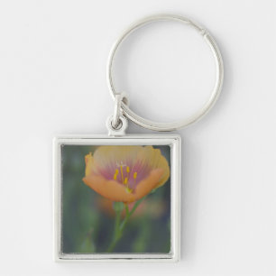 Südlich von Devine Texas entlang Interstate 35 Schlüsselanhänger